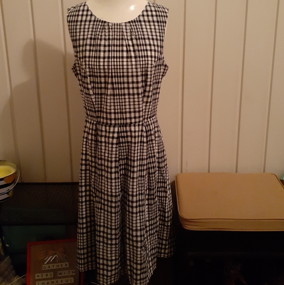 The Limited Dress
